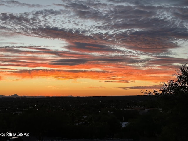 view of nature at dusk