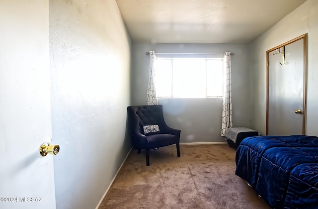 carpeted bedroom with a closet