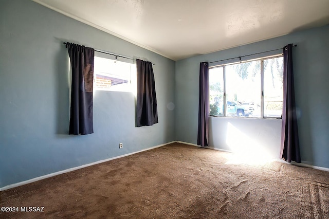 empty room featuring carpet