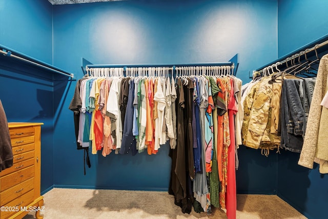 spacious closet featuring carpet floors