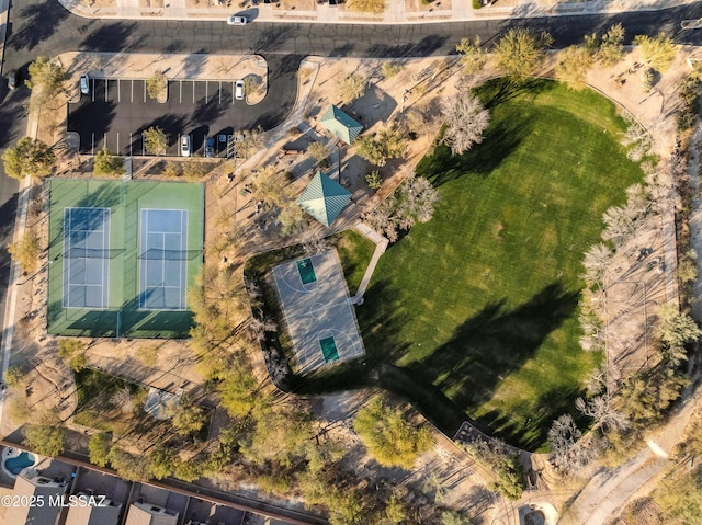 bird's eye view