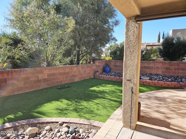 view of yard featuring a patio area