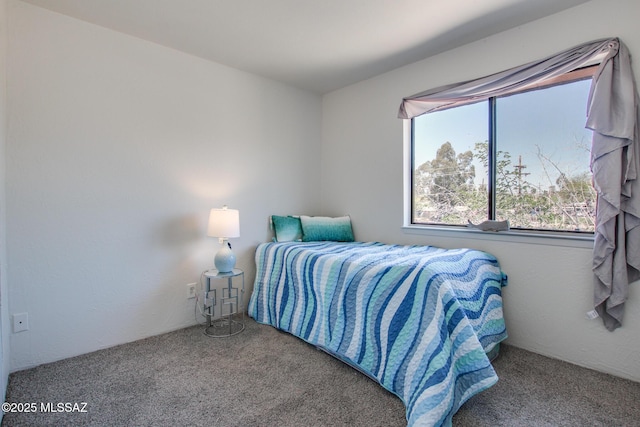 bedroom with carpet floors