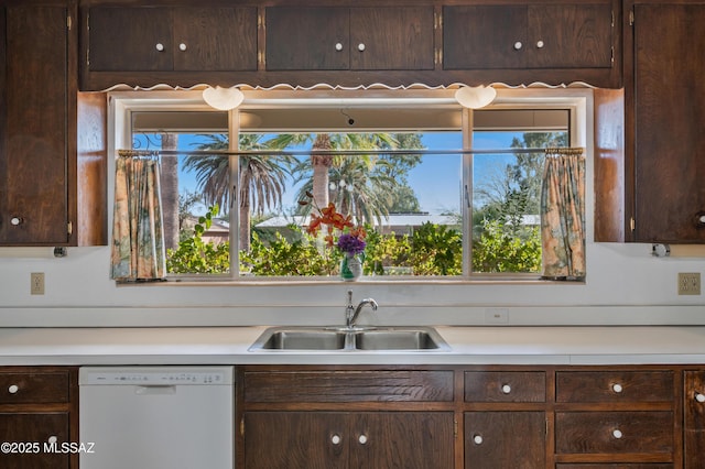 kitchen featuring dark brown cabinetry, dishwasher, and sink