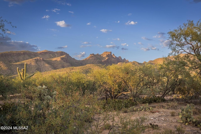 view of mountain feature