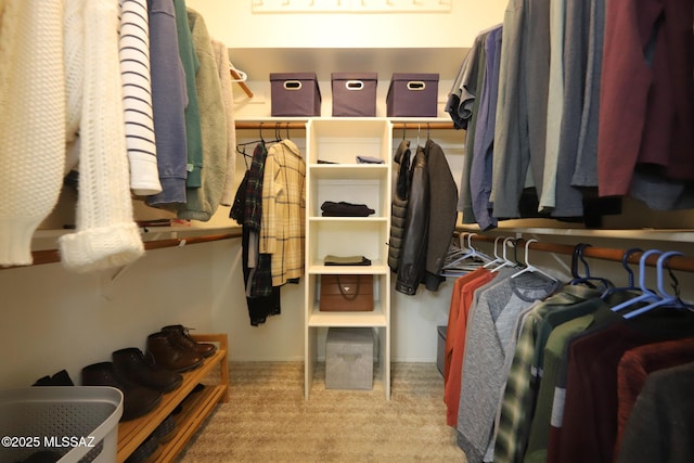 walk in closet with light colored carpet