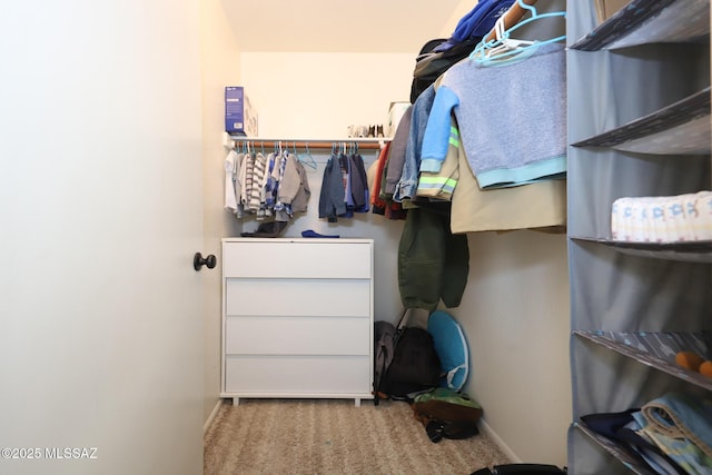 spacious closet featuring carpet flooring