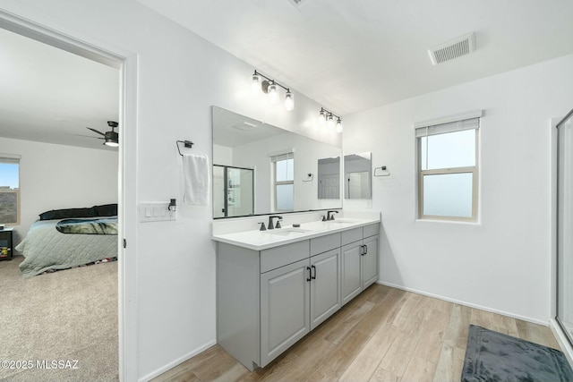 bathroom featuring hardwood / wood-style flooring, plenty of natural light, and vanity