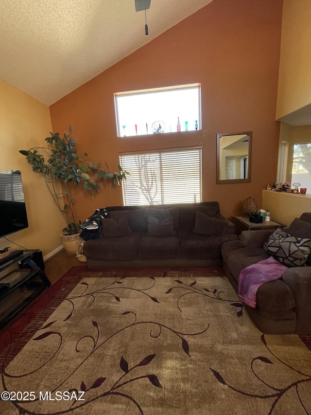 living room featuring a textured ceiling and high vaulted ceiling