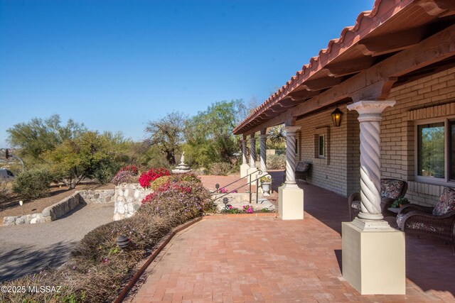 view of yard featuring a patio area