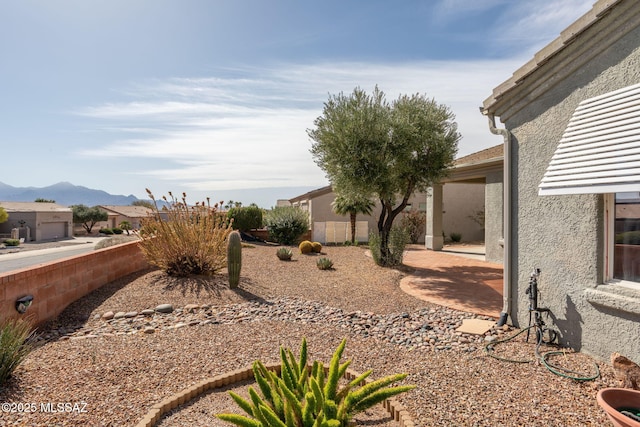 view of yard with a patio area and a mountain view