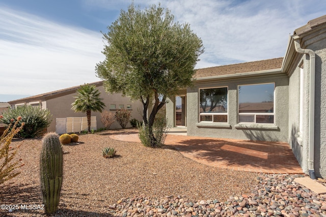 entrance to property featuring a patio and stucco siding
