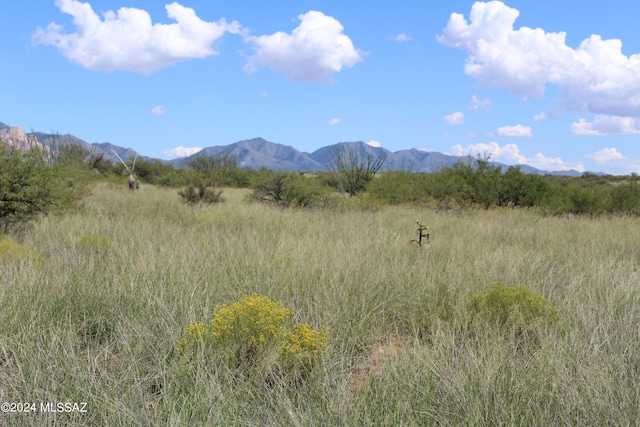 TBD E Cochise Trl Unit 3, Saint David AZ, 85630 land for sale