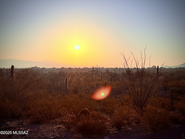 view of nature at dusk