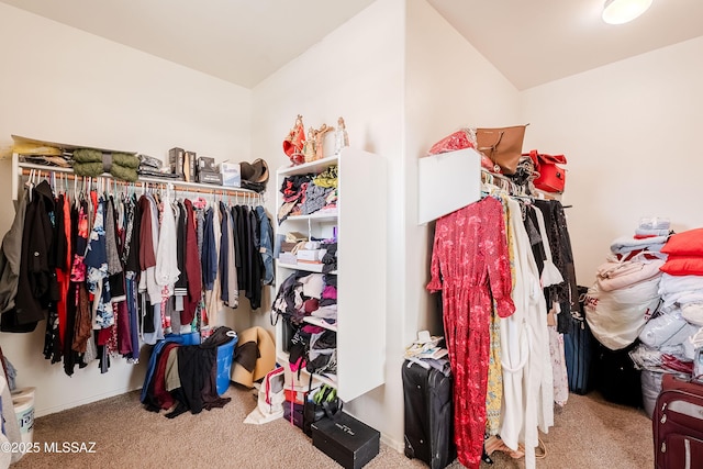 spacious closet featuring carpet floors