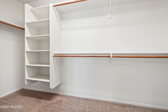 spacious closet featuring carpet floors