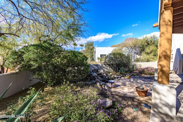 view of yard featuring a patio area