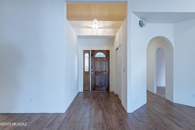 entrance foyer with dark wood-type flooring