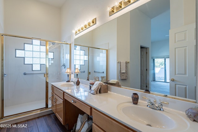 bathroom featuring walk in shower and vanity