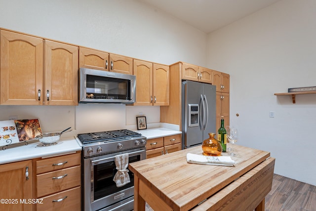 kitchen featuring appliances with stainless steel finishes and dark hardwood / wood-style flooring