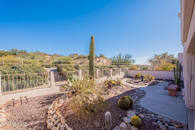 view of yard featuring a patio