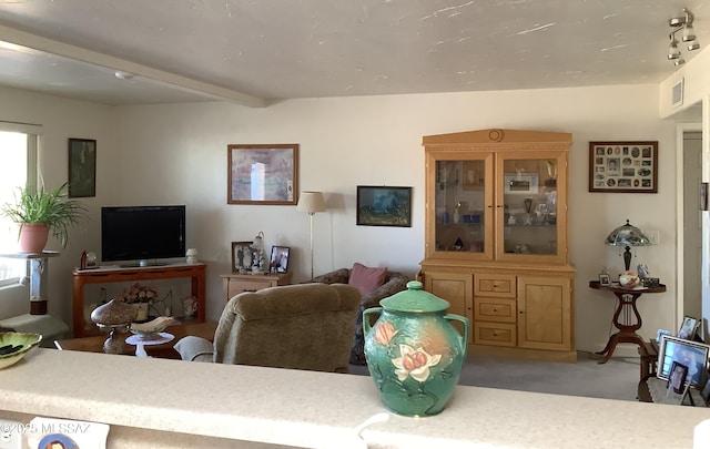 living room with light colored carpet and beam ceiling