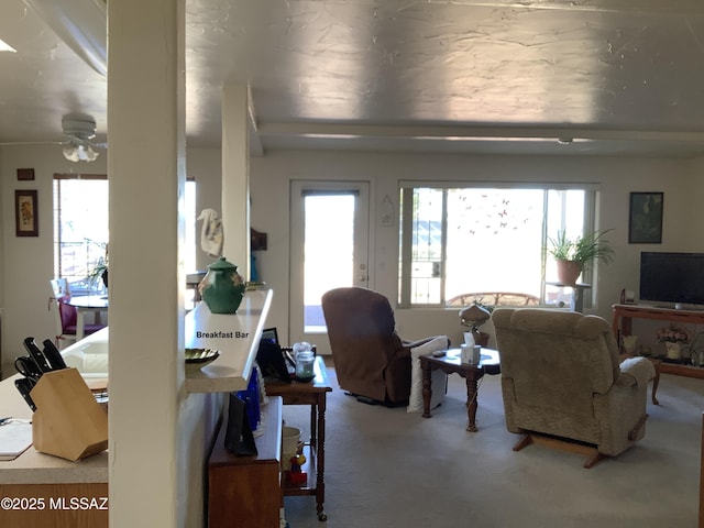 living room with ceiling fan and carpet flooring