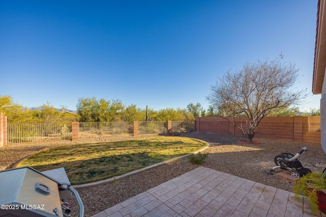 view of yard with a patio