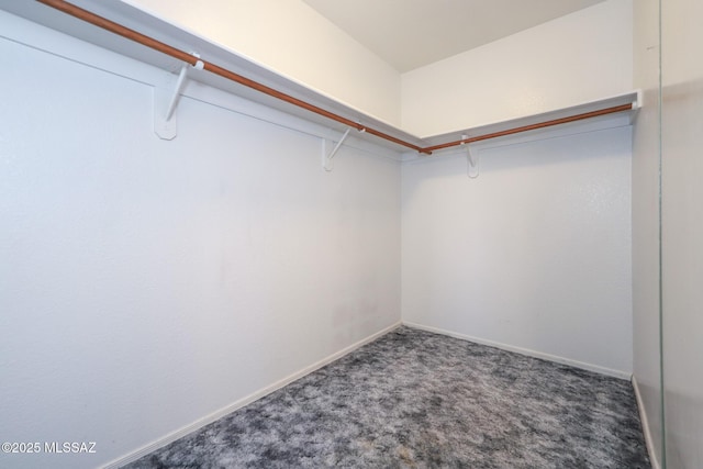 walk in closet featuring carpet floors