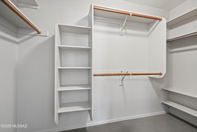 spacious closet featuring carpet floors