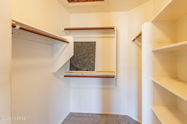 spacious closet with carpet floors