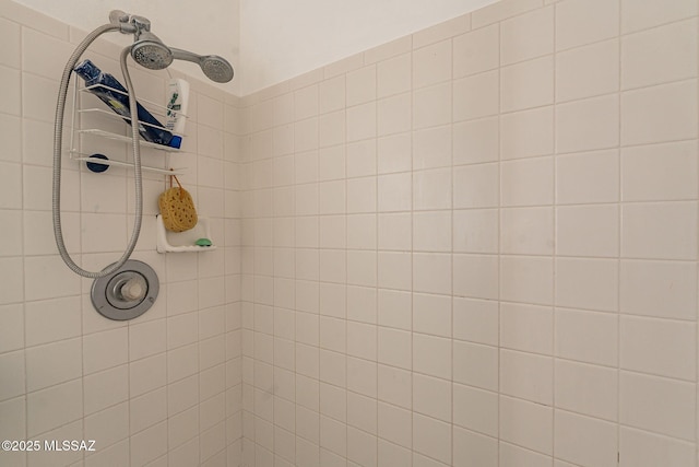 interior details with tiled shower