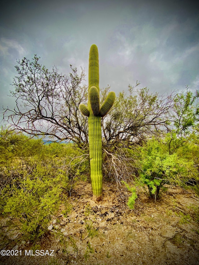 Listing photo 3 for 3.4ACRES N Soldier Trl Unit 2, Tucson AZ 85749