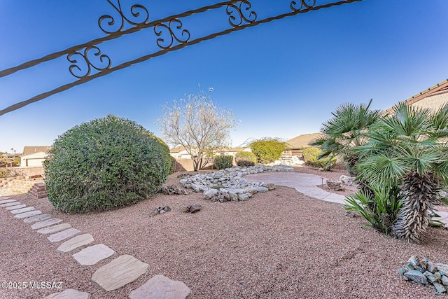 view of yard with a patio area