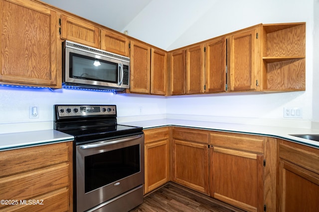 kitchen with lofted ceiling, dark wood-type flooring, and stainless steel appliances