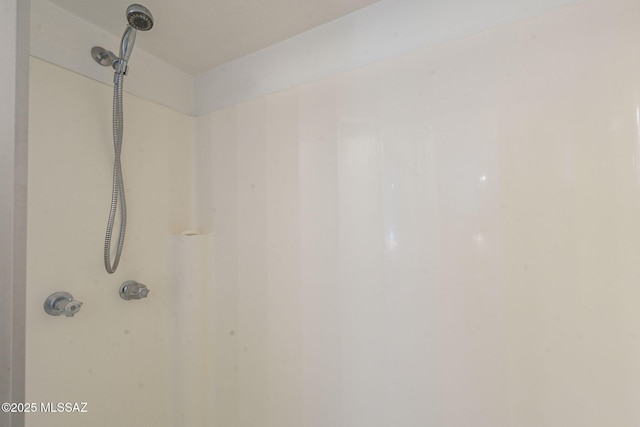 interior details featuring walk in shower