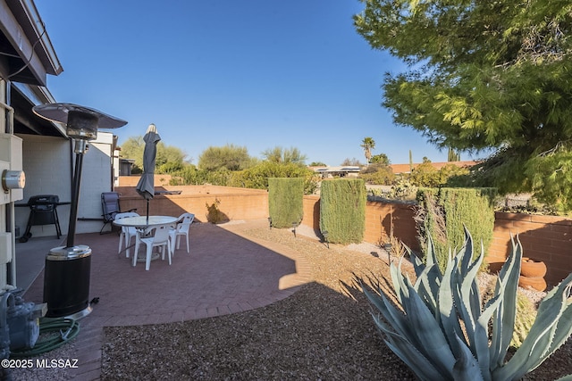 view of yard featuring a patio area