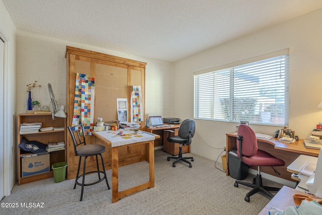 office space with light colored carpet and a textured ceiling