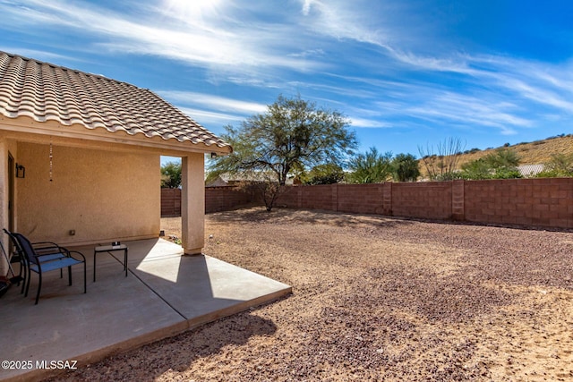 view of yard featuring a patio