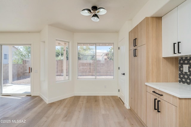 interior space featuring light hardwood / wood-style floors