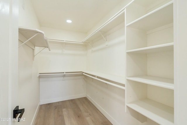 spacious closet with light wood-type flooring