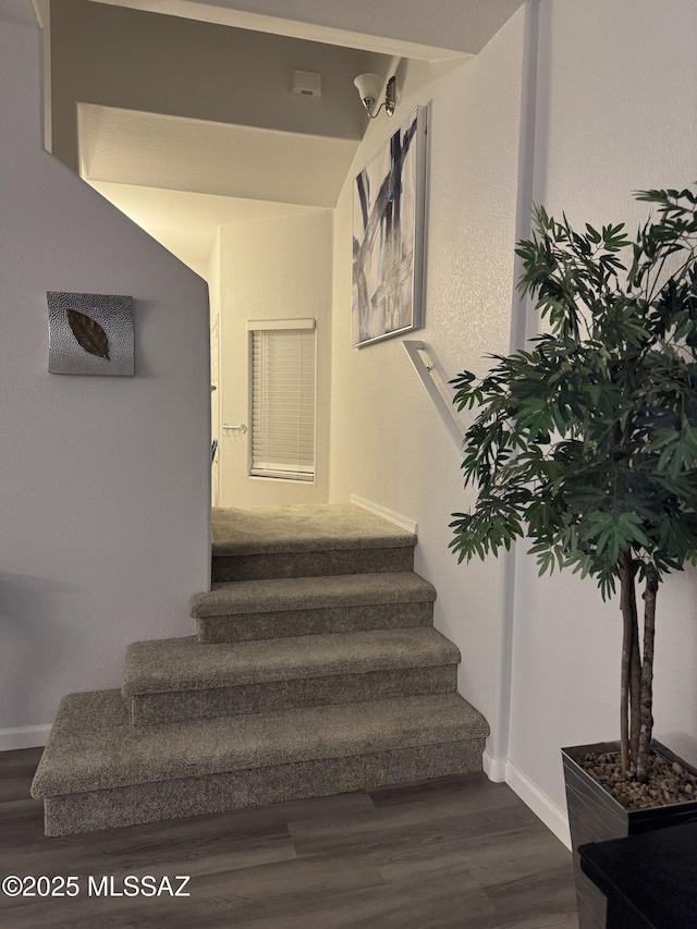 stairway with hardwood / wood-style flooring