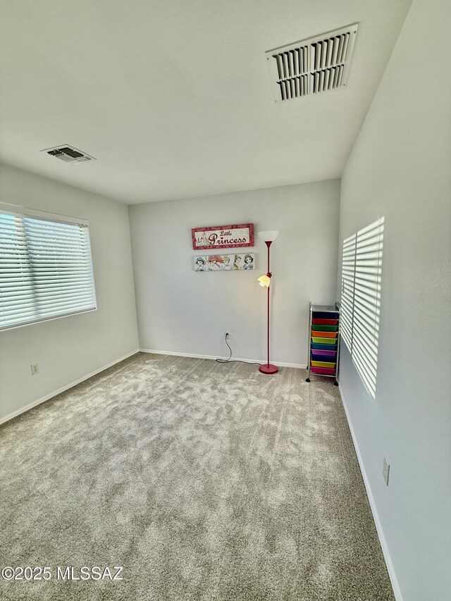 spacious closet featuring carpet