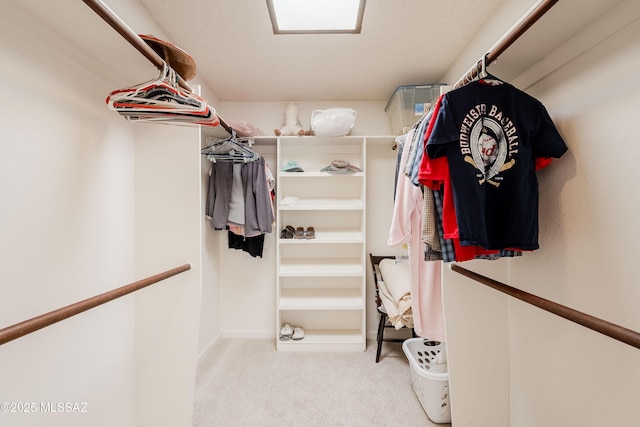 walk in closet featuring carpet floors