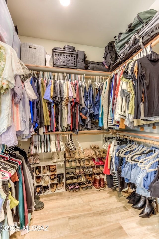 spacious closet featuring wood-type flooring