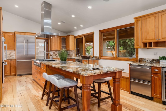 kitchen featuring vaulted ceiling, stainless steel appliances, light wood-type flooring, and island range hood