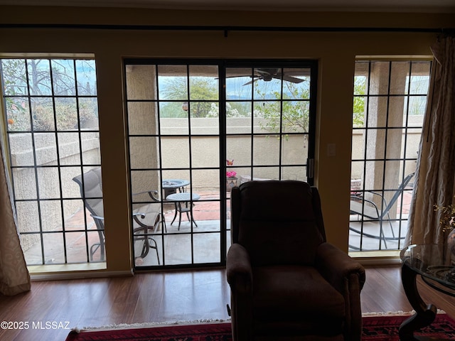 entryway featuring wood-type flooring