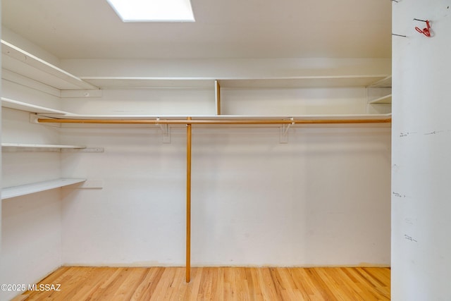 walk in closet featuring hardwood / wood-style flooring