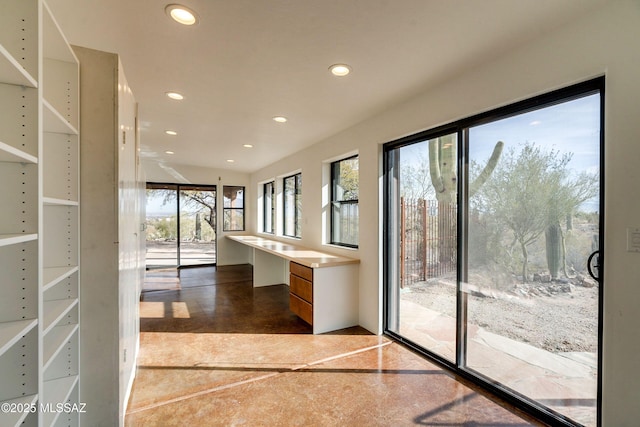 entryway featuring a wealth of natural light