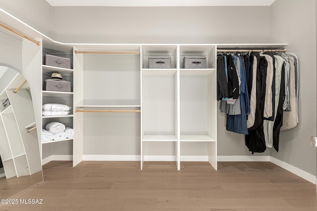 walk in closet featuring hardwood / wood-style flooring